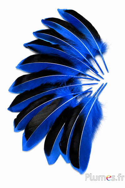 Eend - 8-10 cm - blauw